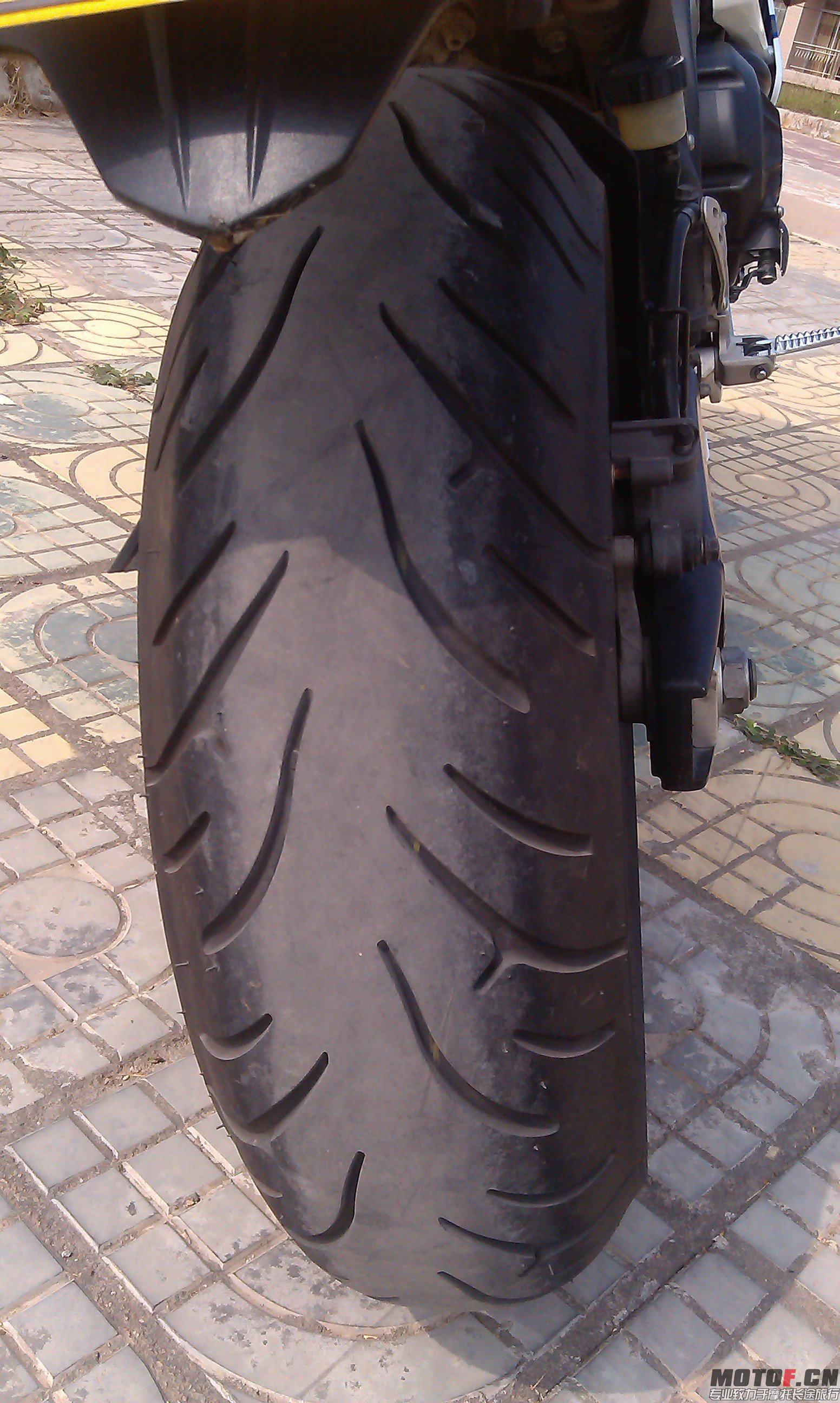 IMAG0447.jpg