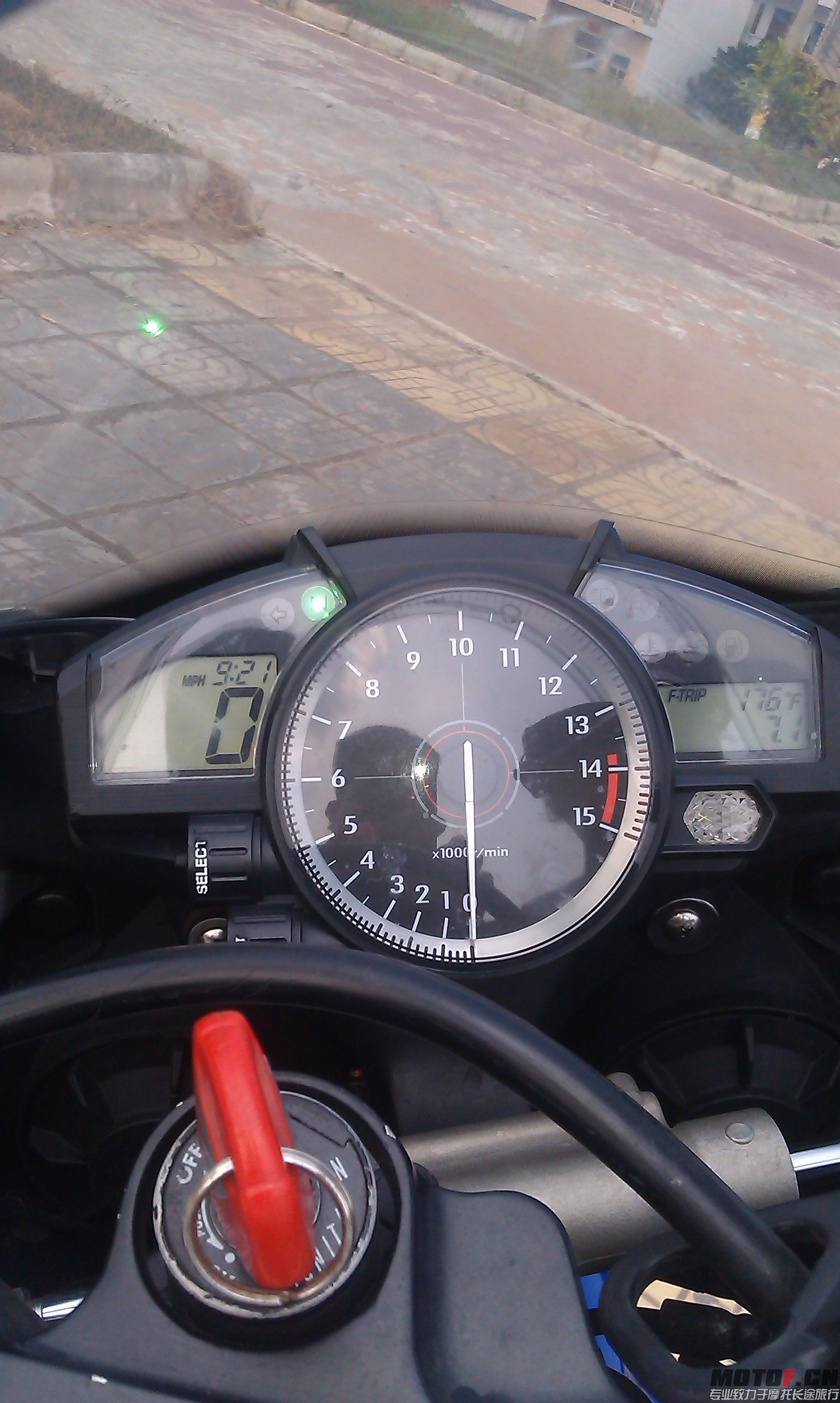 IMAG0450.jpg