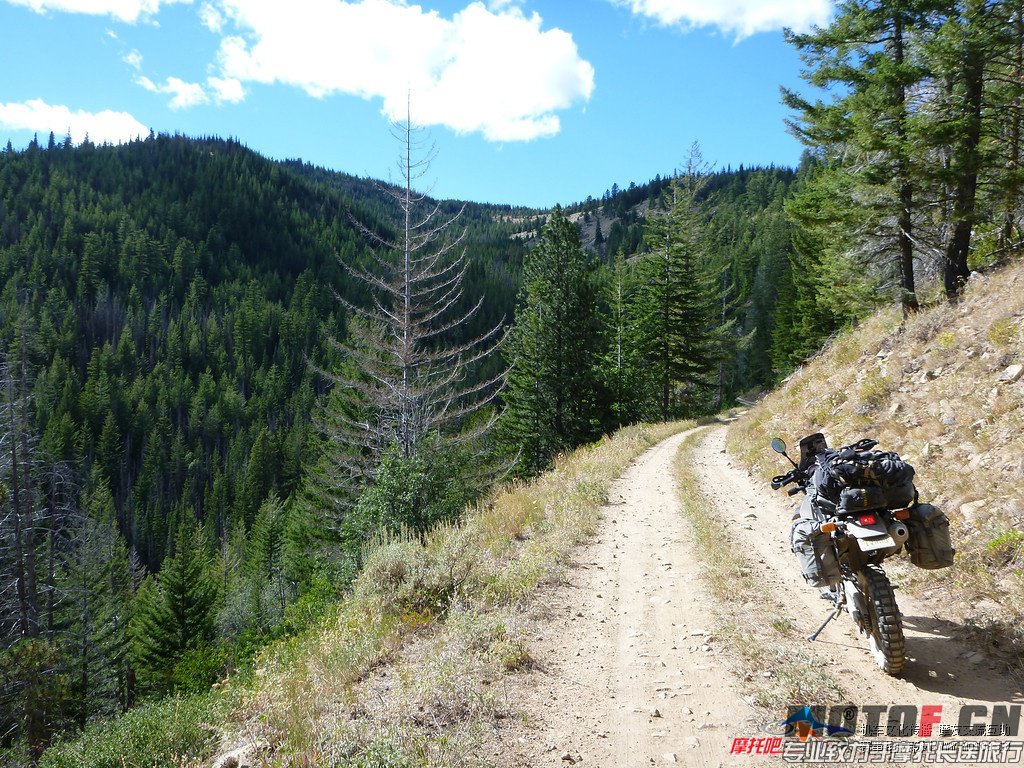 011129tn1yz6n6kytk6l16.jpg