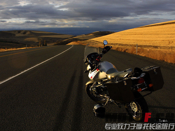 125520yz5w5p5qqt35yd33.jpg