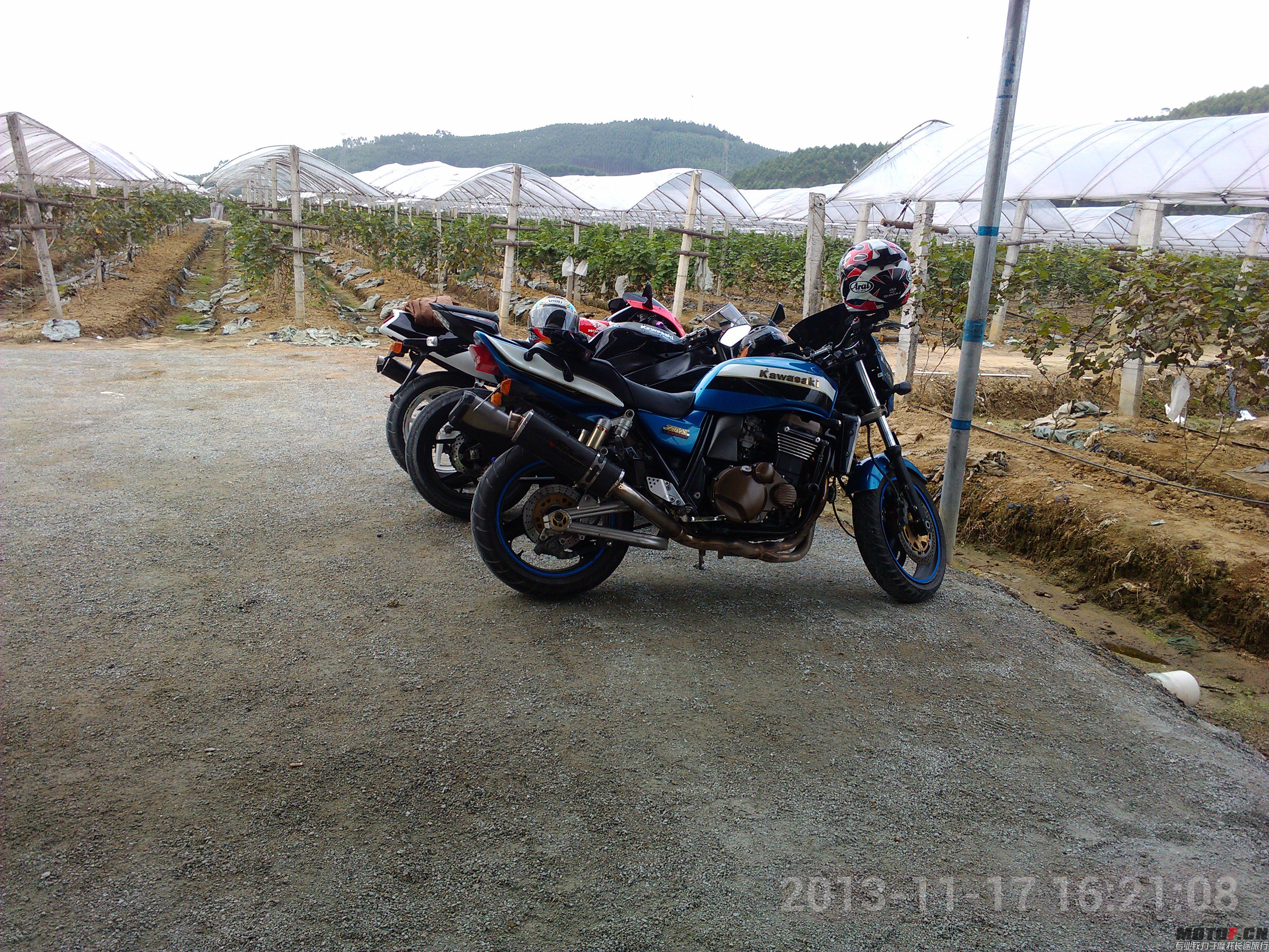 IMG_20131117_162108.jpg