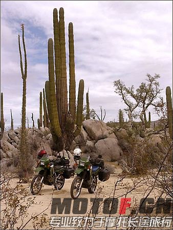 200043zewd1dow6x163v7o.jpg