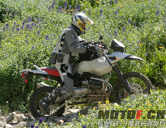 200559t8z9bjpp7gv37vfh.jpg