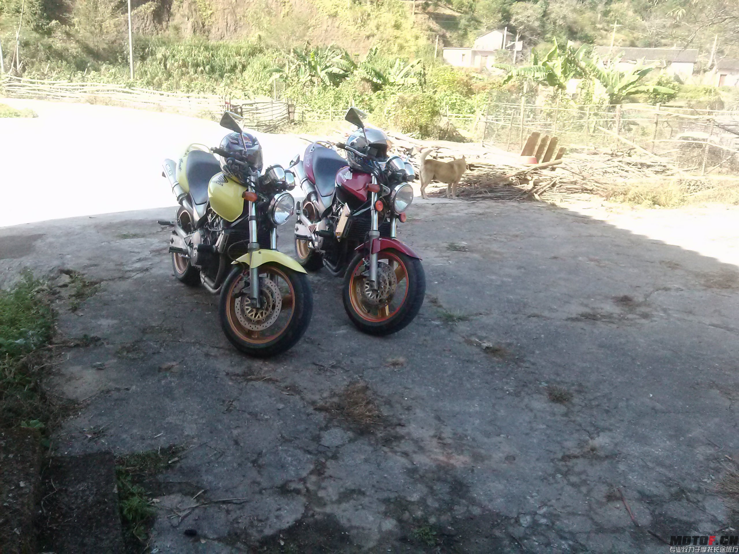 CAM00658.jpg