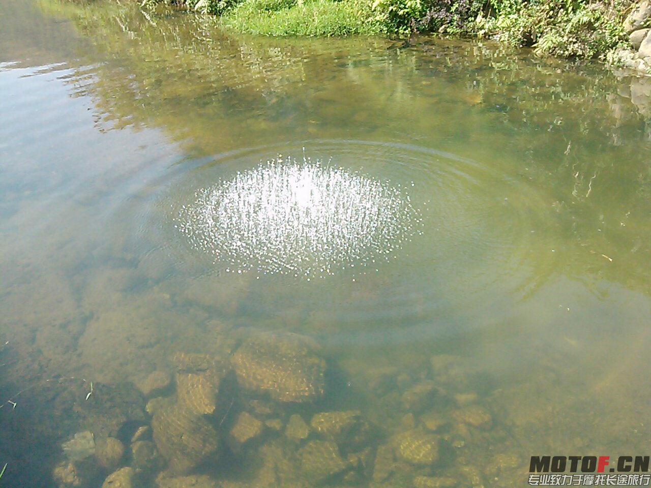 CAM00720.jpg