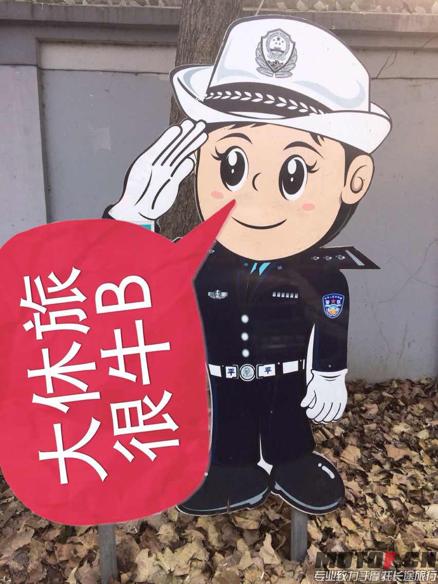欢迎.jpg
