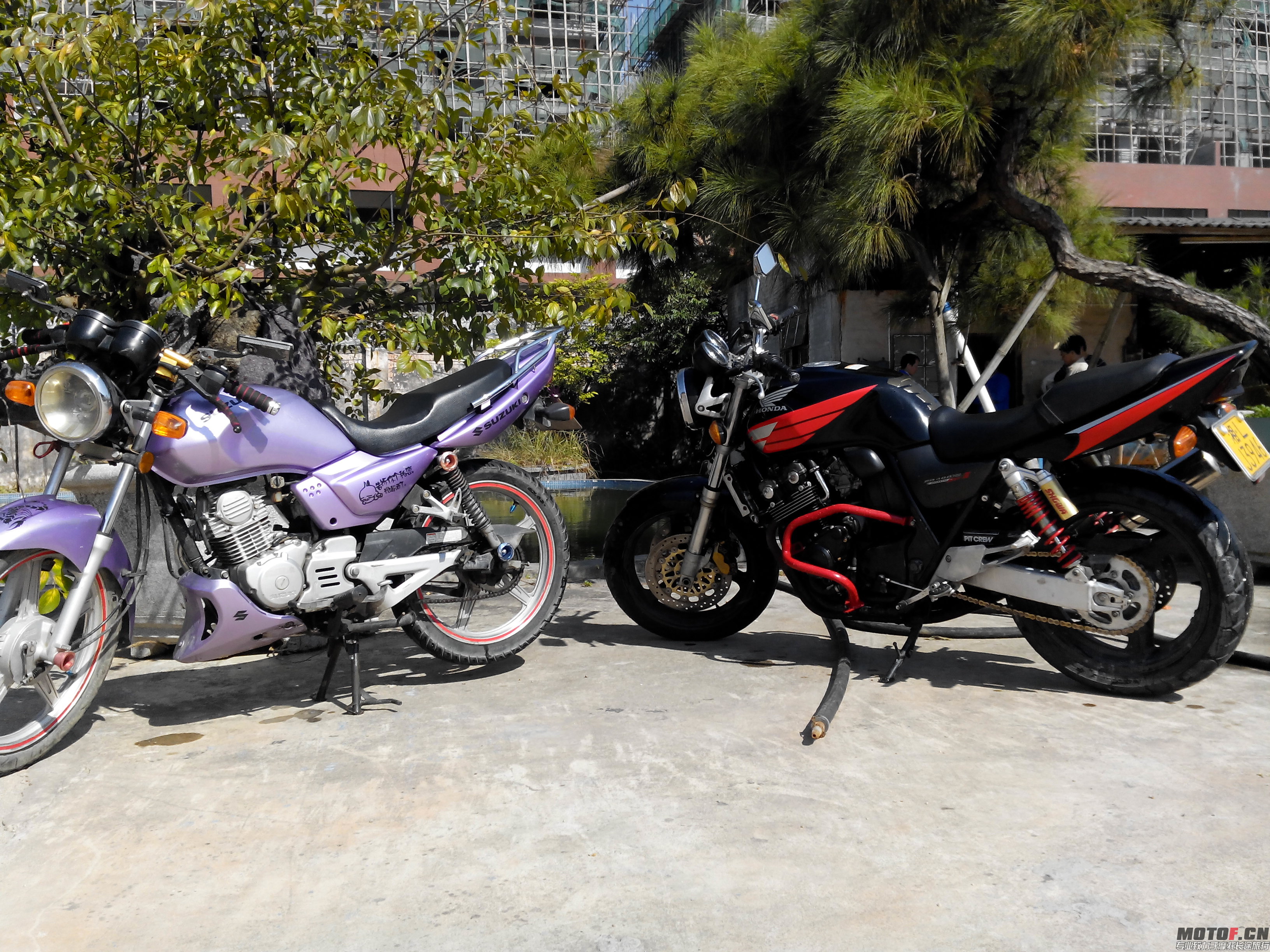 IMG_20131202_114631.jpg
