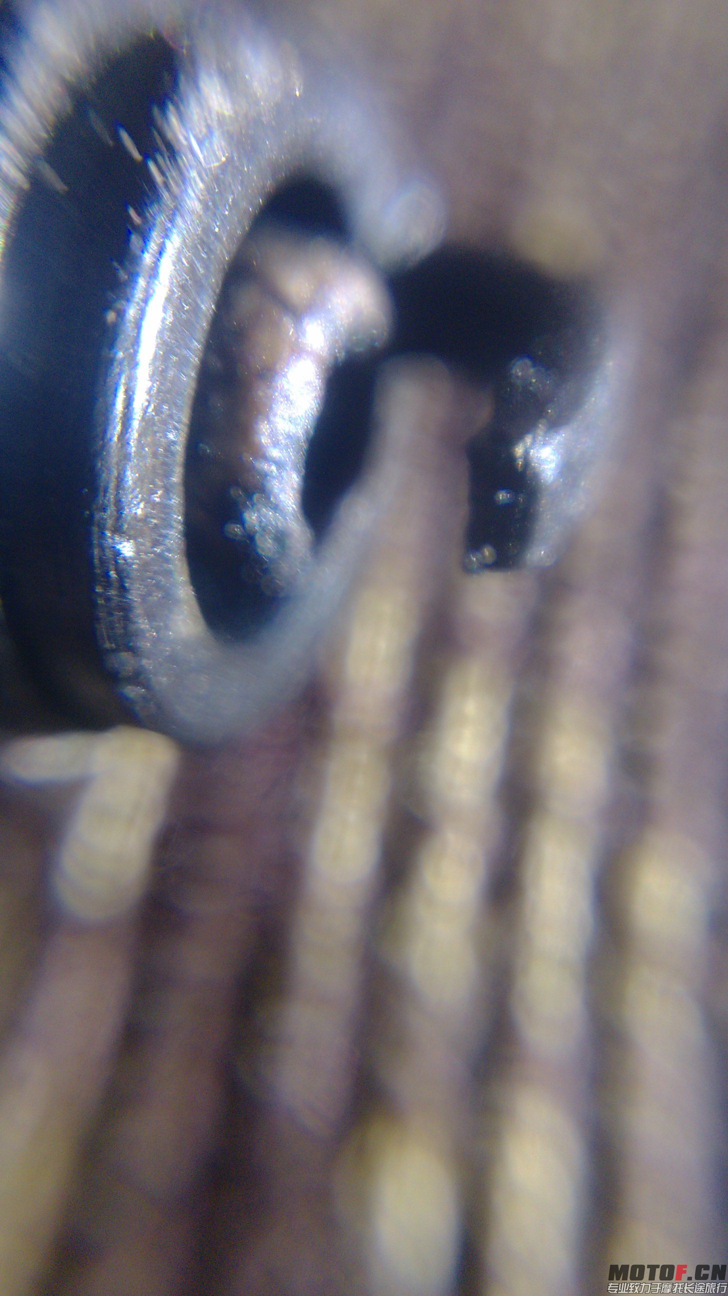 IMG_20131206_124823.jpg