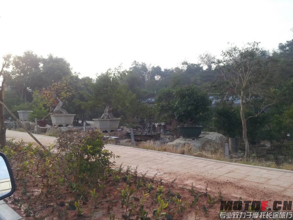 145.jpg