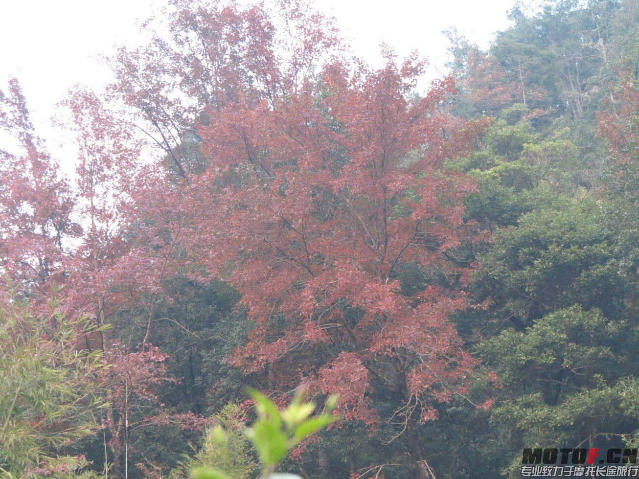 IMG_0486.jpg