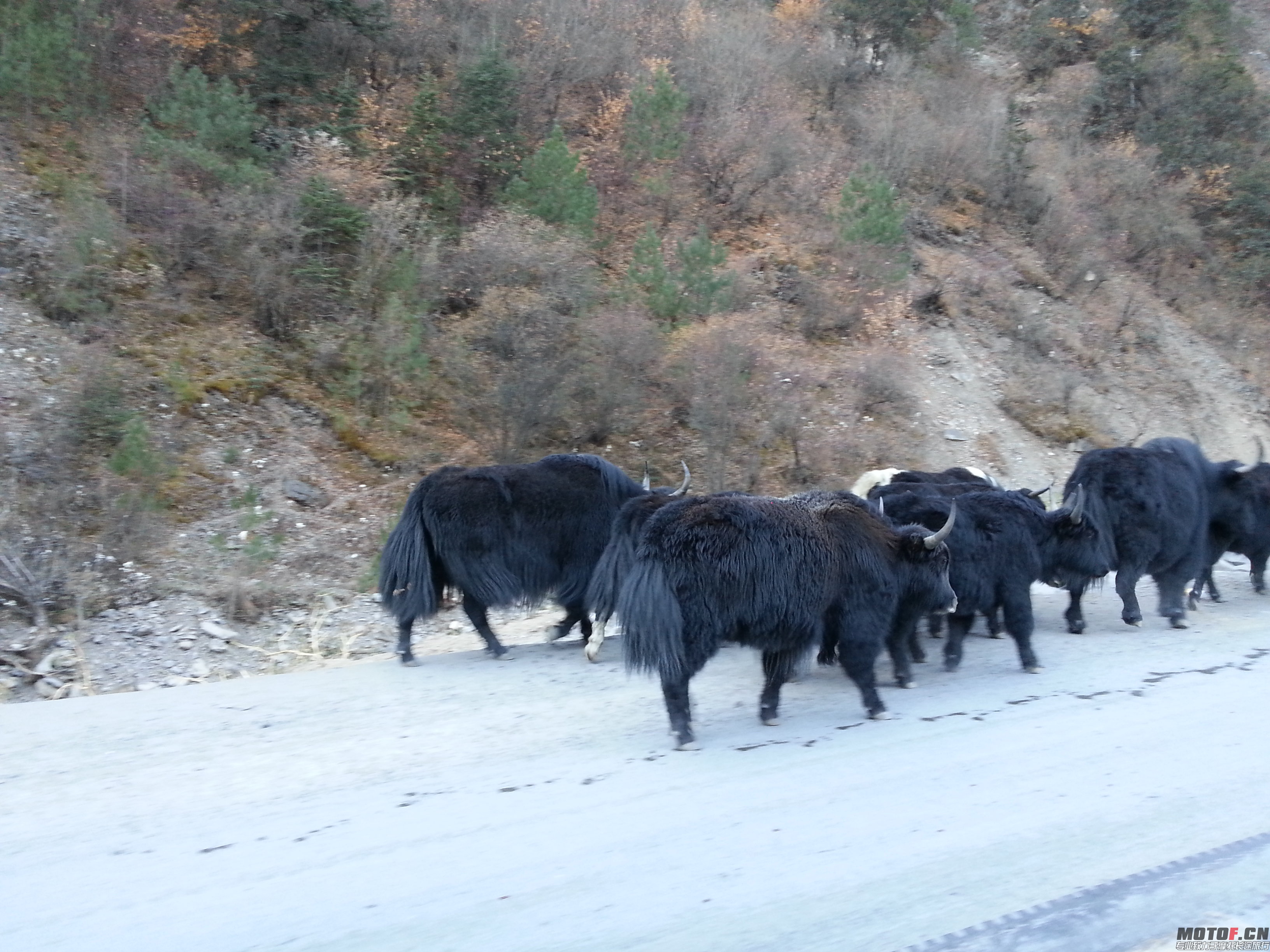 20131128_090935.jpg