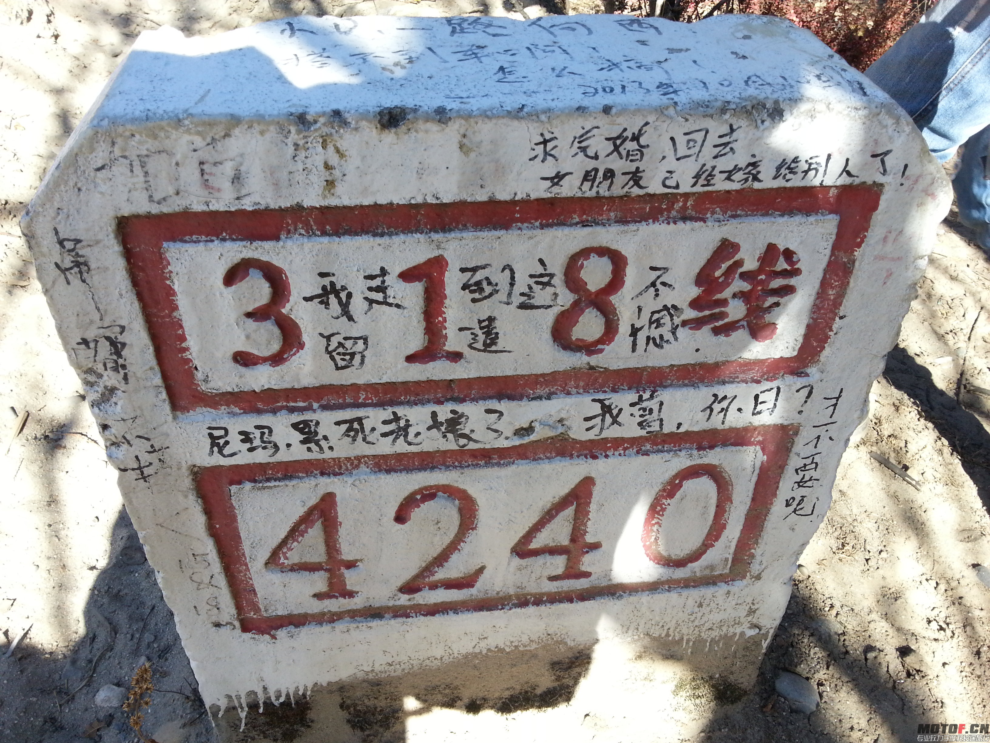 20131202_122152.jpg