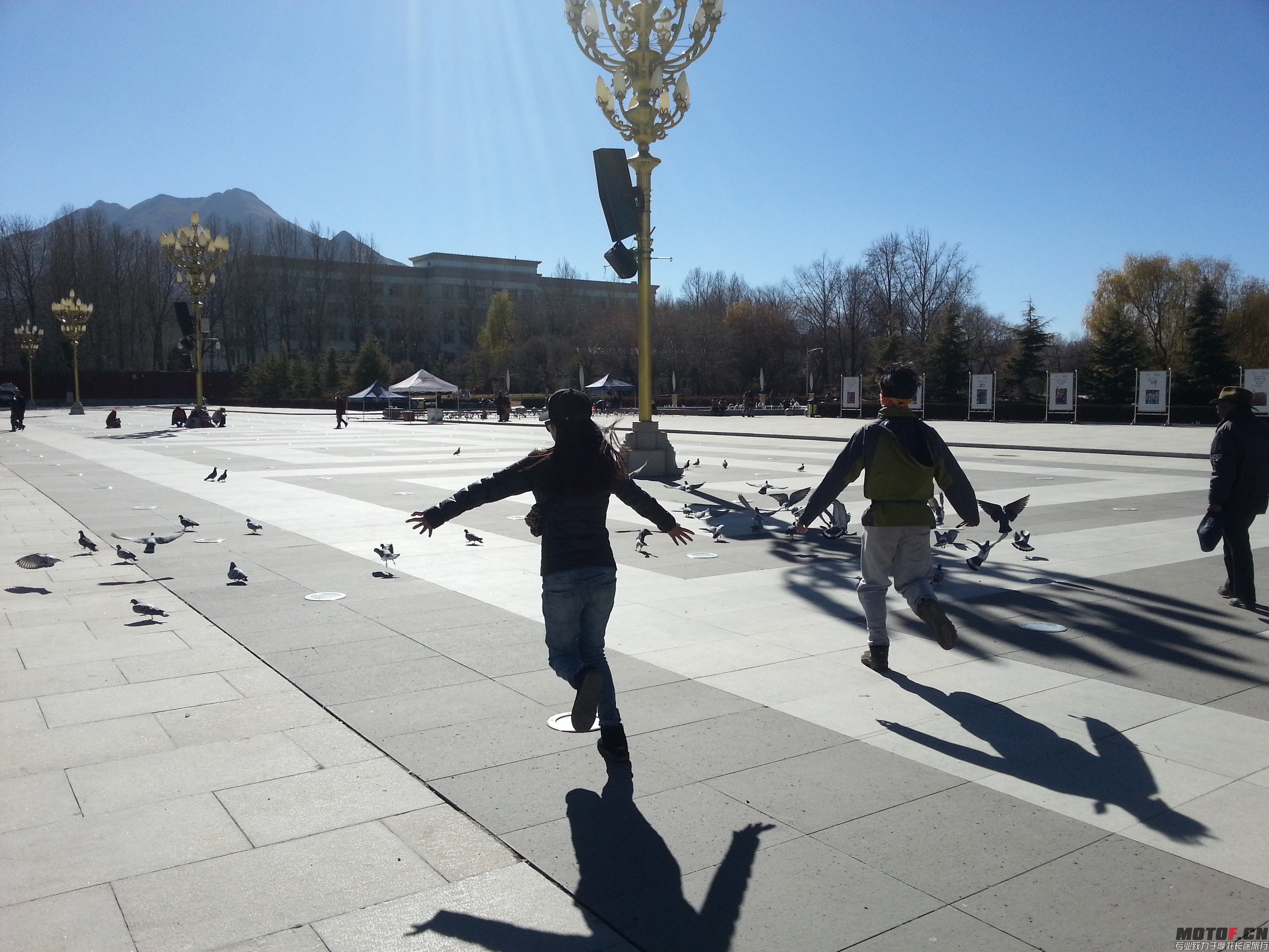 20131203_150658_6.jpg