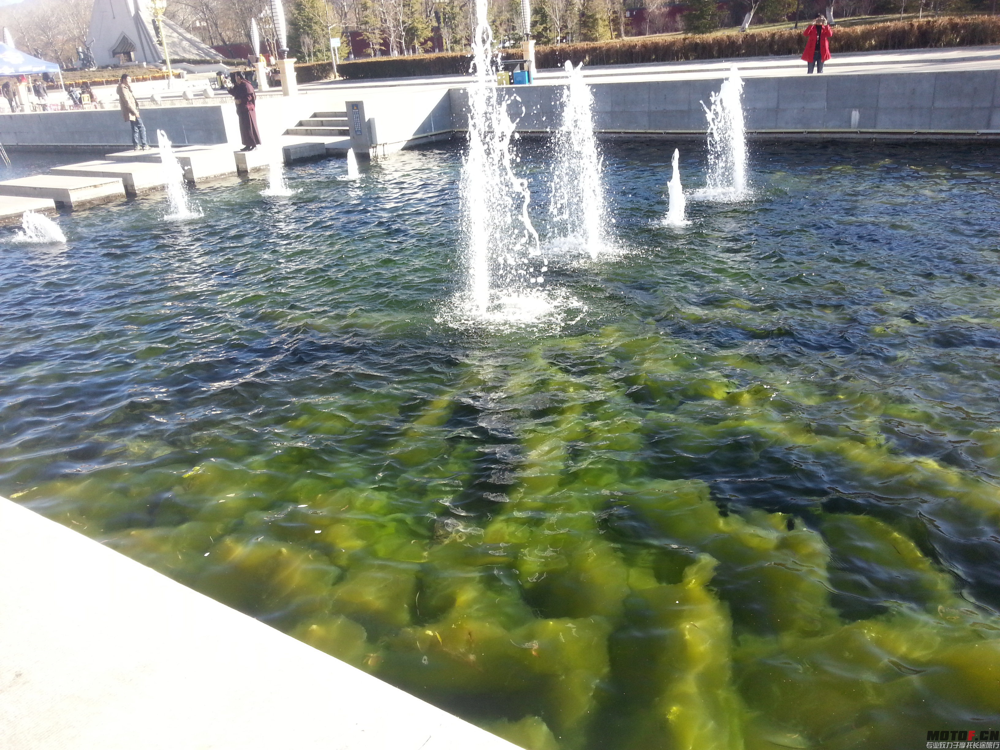 20131205_163552.jpg
