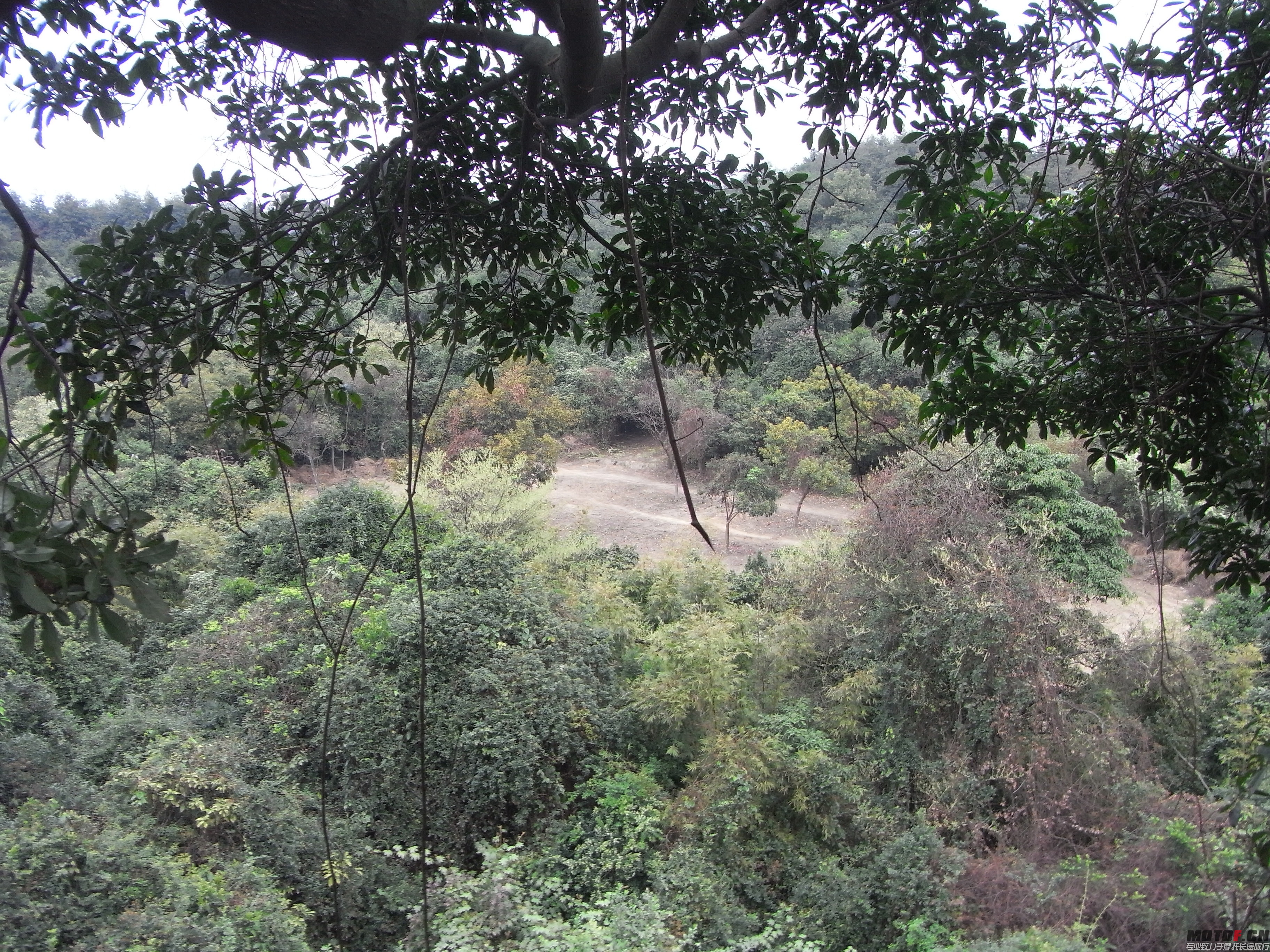 R0012813.JPG