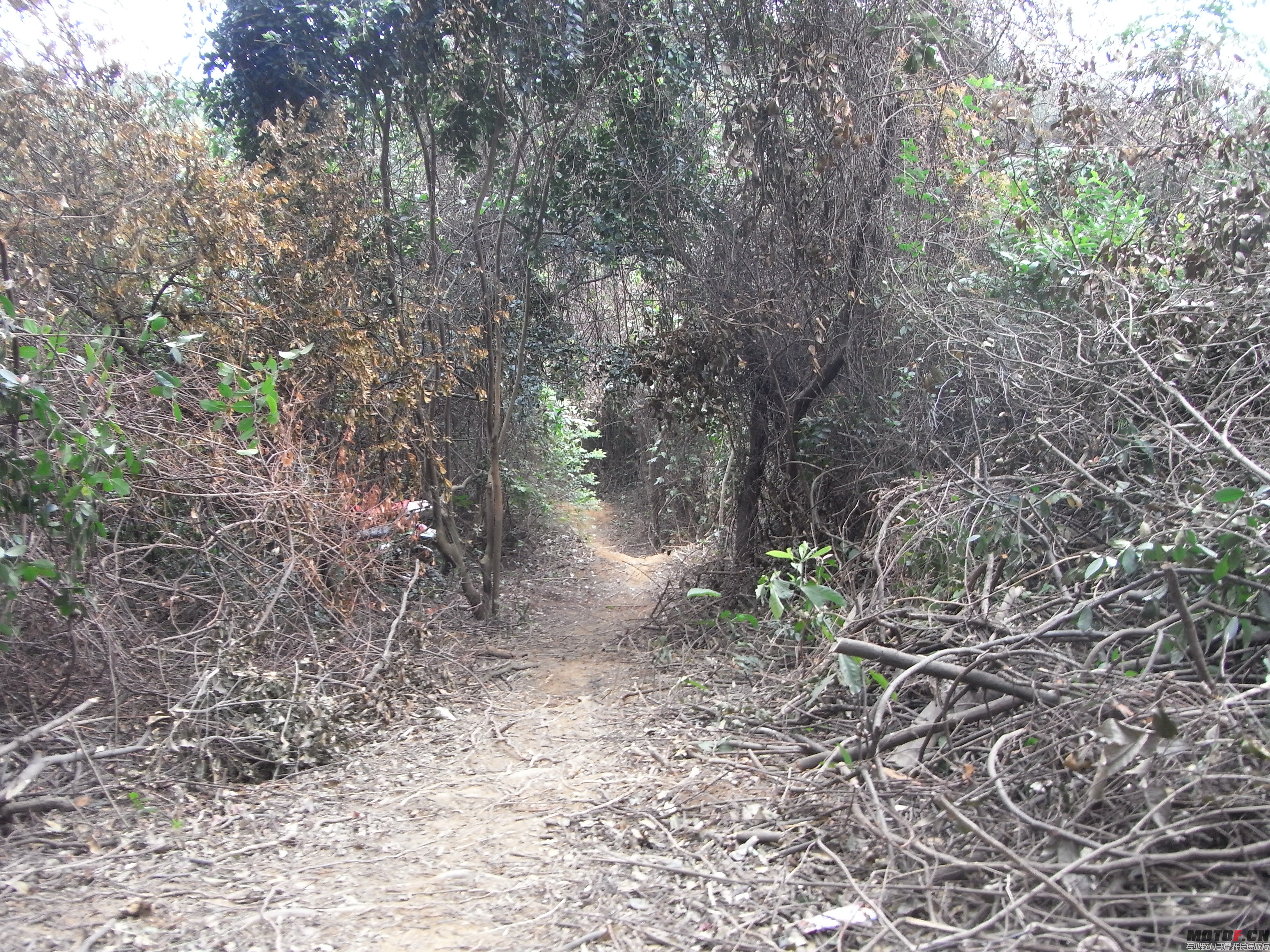 R0012814.JPG