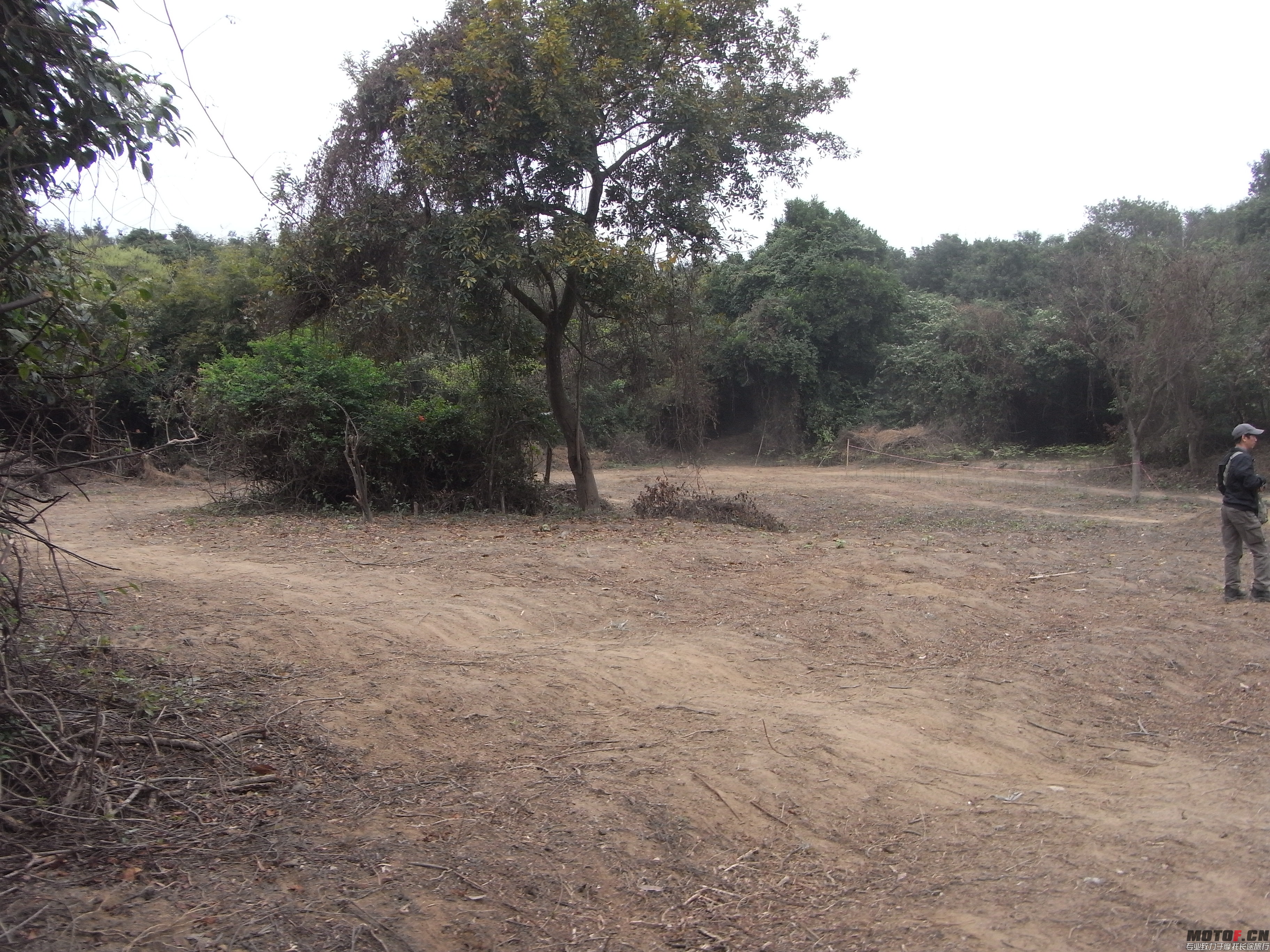 R0012823.JPG