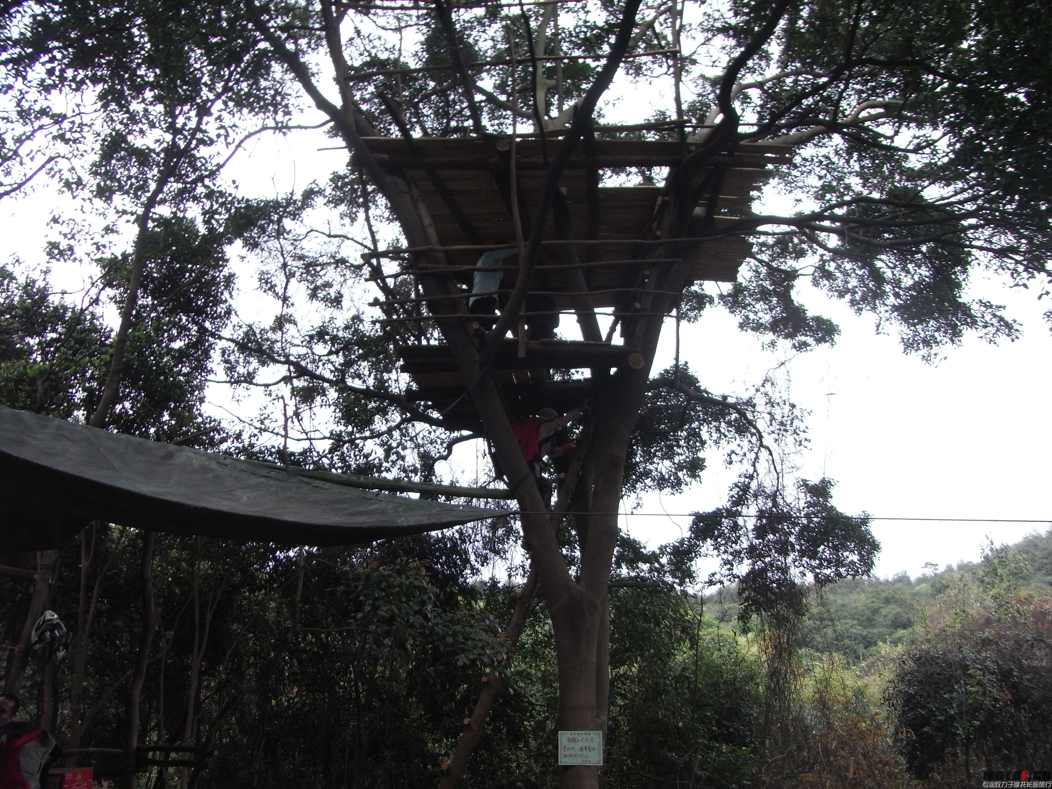 R0012833.JPG