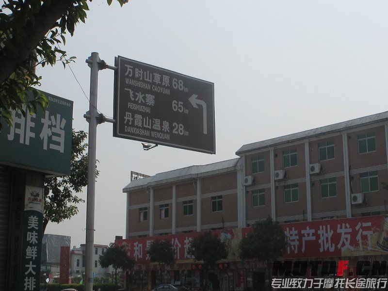 181.jpg