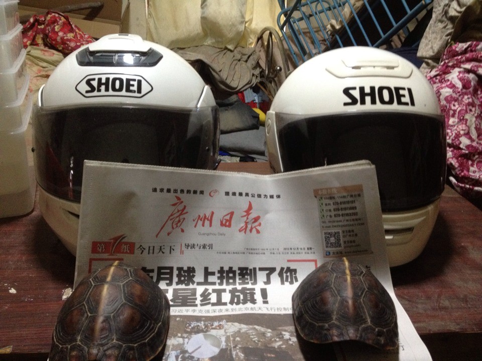 QQ图片20131216150208.jpg