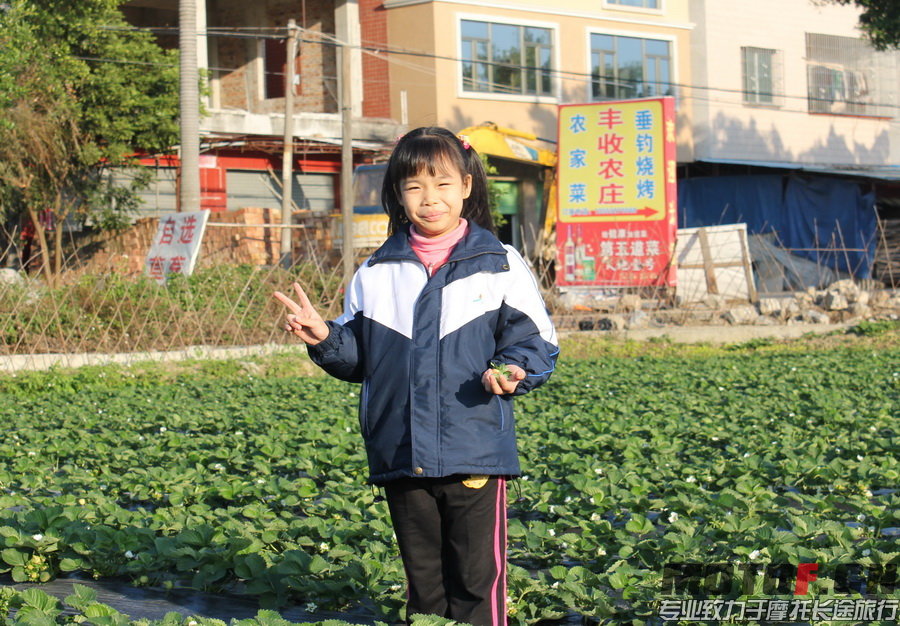 2013挚友营年会199.jpg