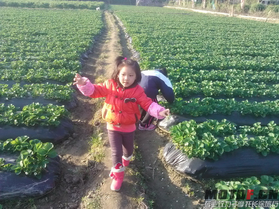 2013挚友营年会203.jpg