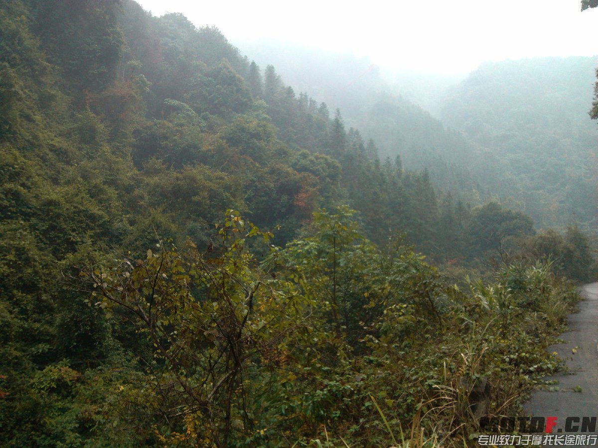BigBull_IMG_20131213_092739.jpg