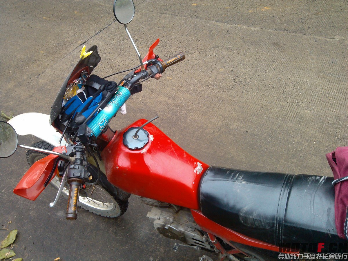 BigBull_IMG_20131213_092746.jpg