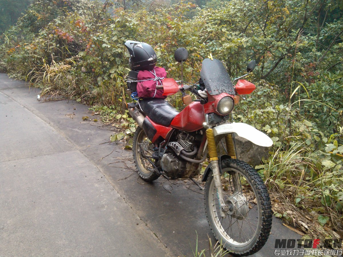 BigBull_IMG_20131213_092818.jpg