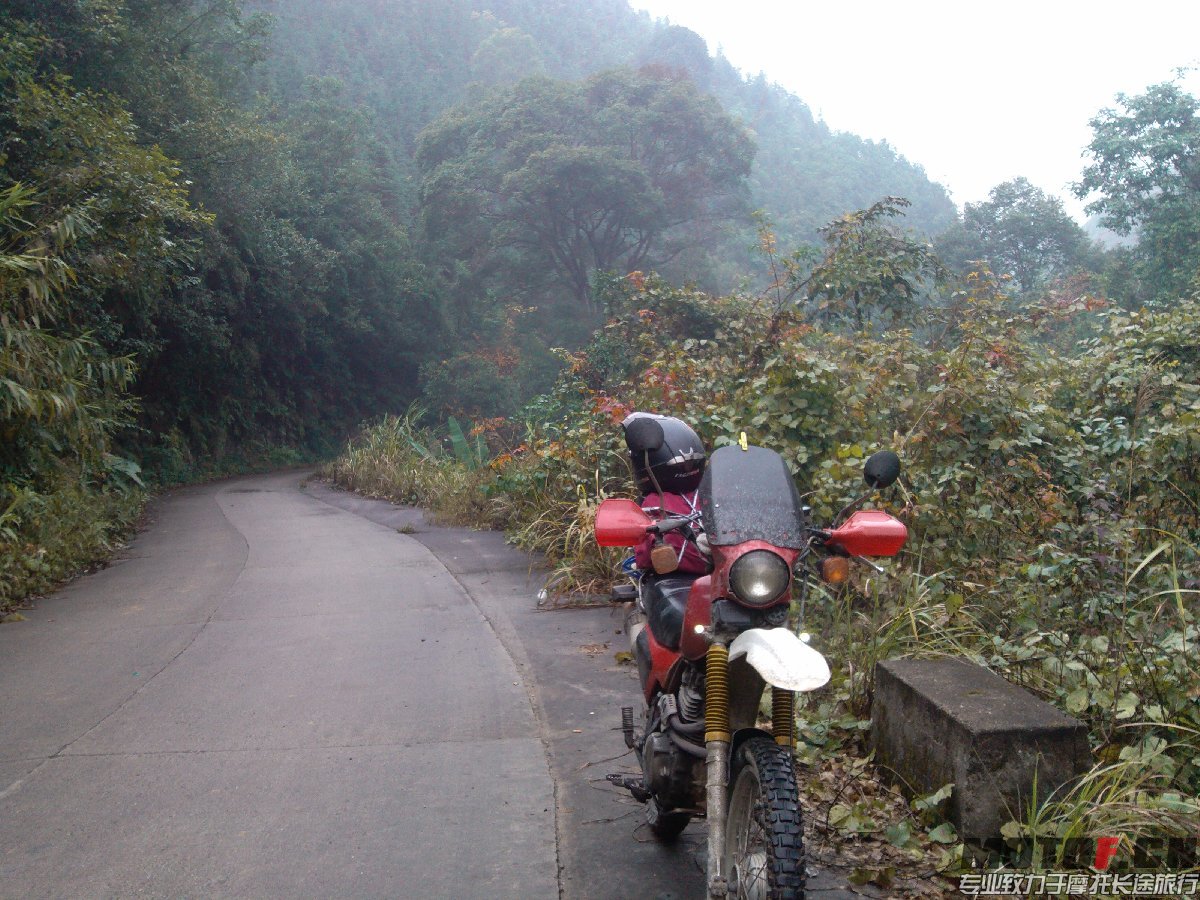 BigBull_IMG_20131213_092827.jpg