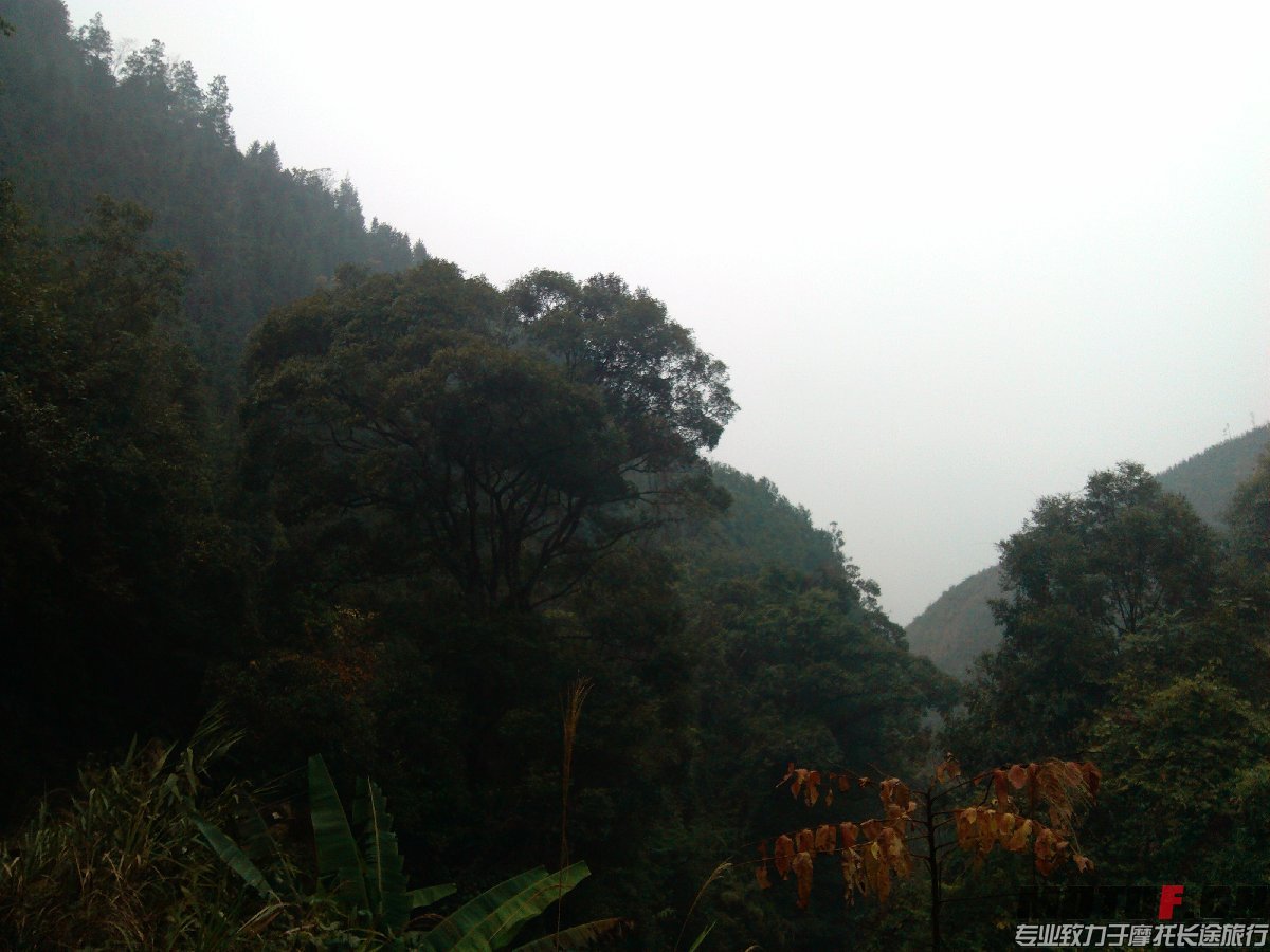 BigBull_IMG_20131213_092913.jpg