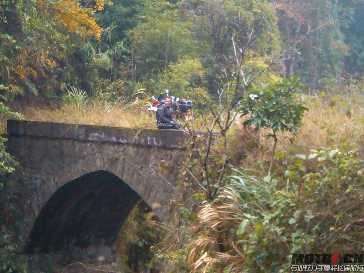 BigBull_IMG_20131213_093820.jpg