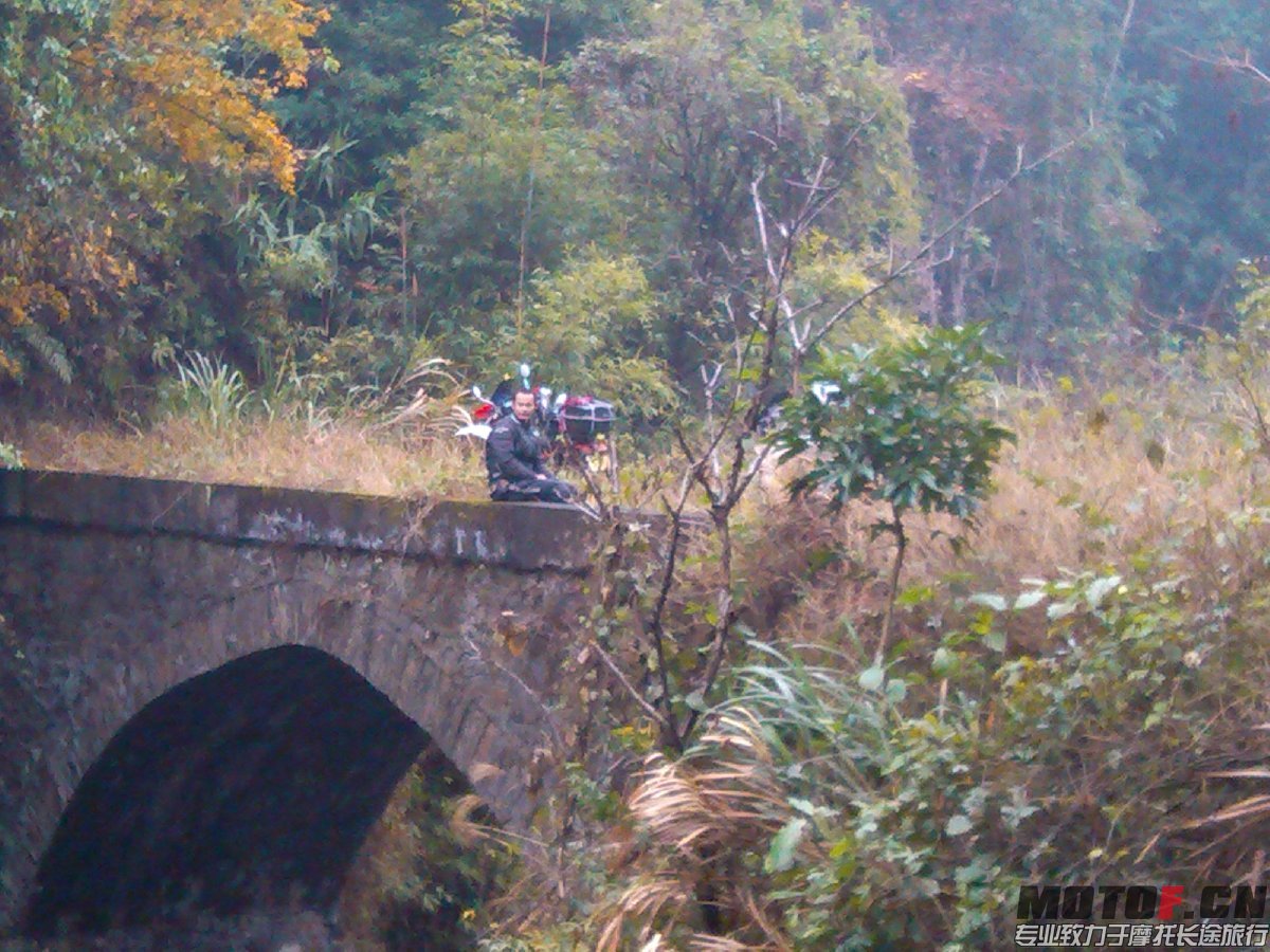 BigBull_IMG_20131213_093825.jpg