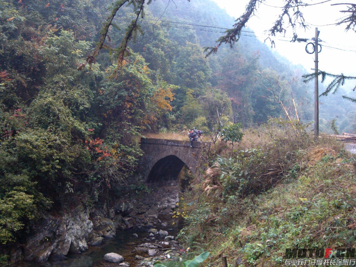 BigBull_IMG_20131213_093843.jpg