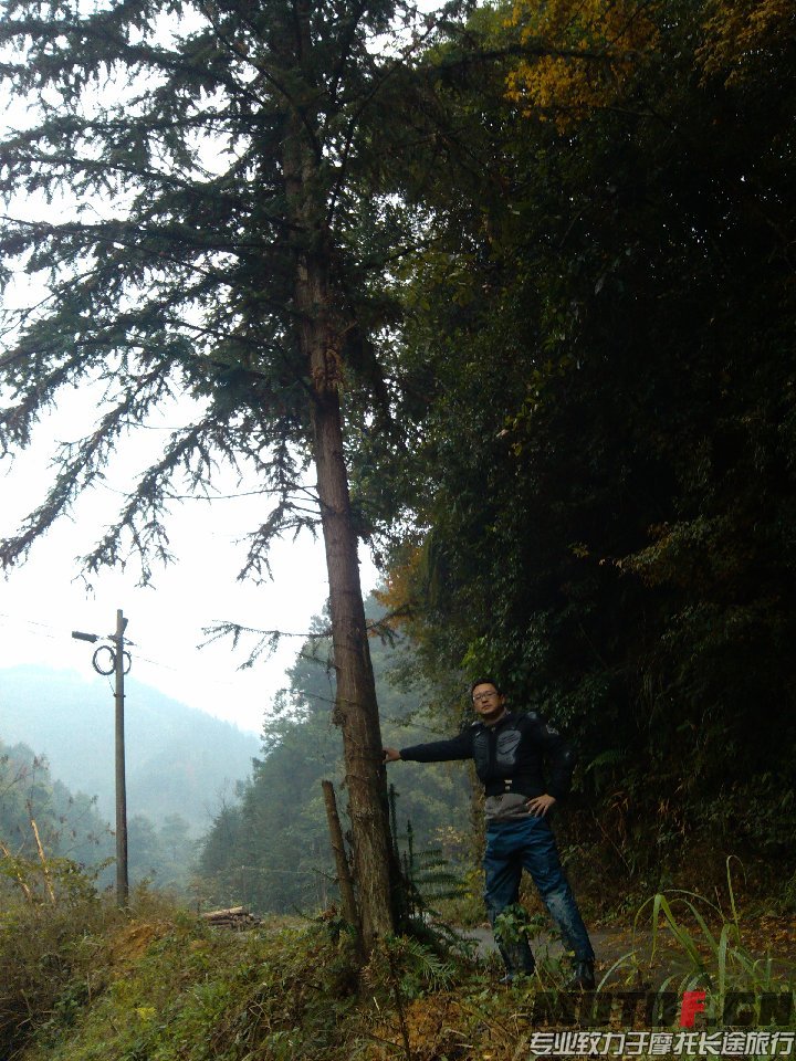 BigBull_IMG_20131213_093939.jpg