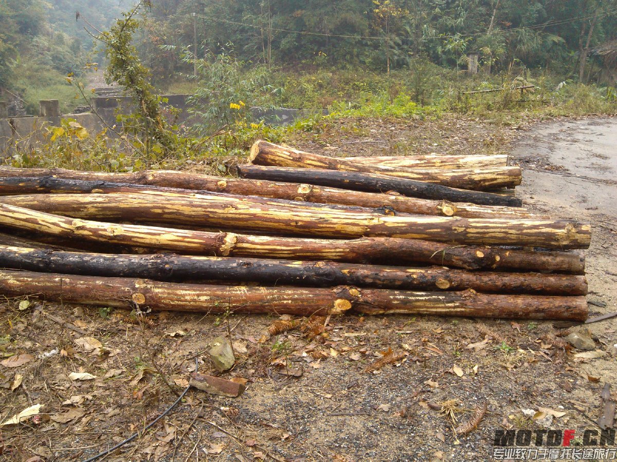 BigBull_IMG_20131213_094147.jpg