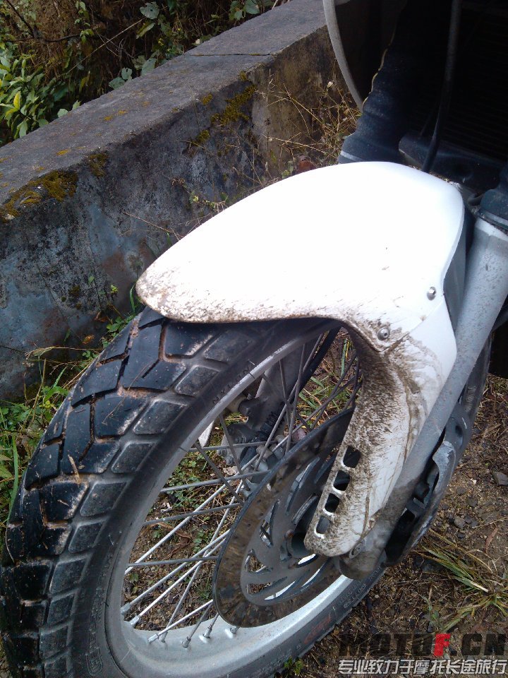 BigBull_IMG_20131213_094227.jpg