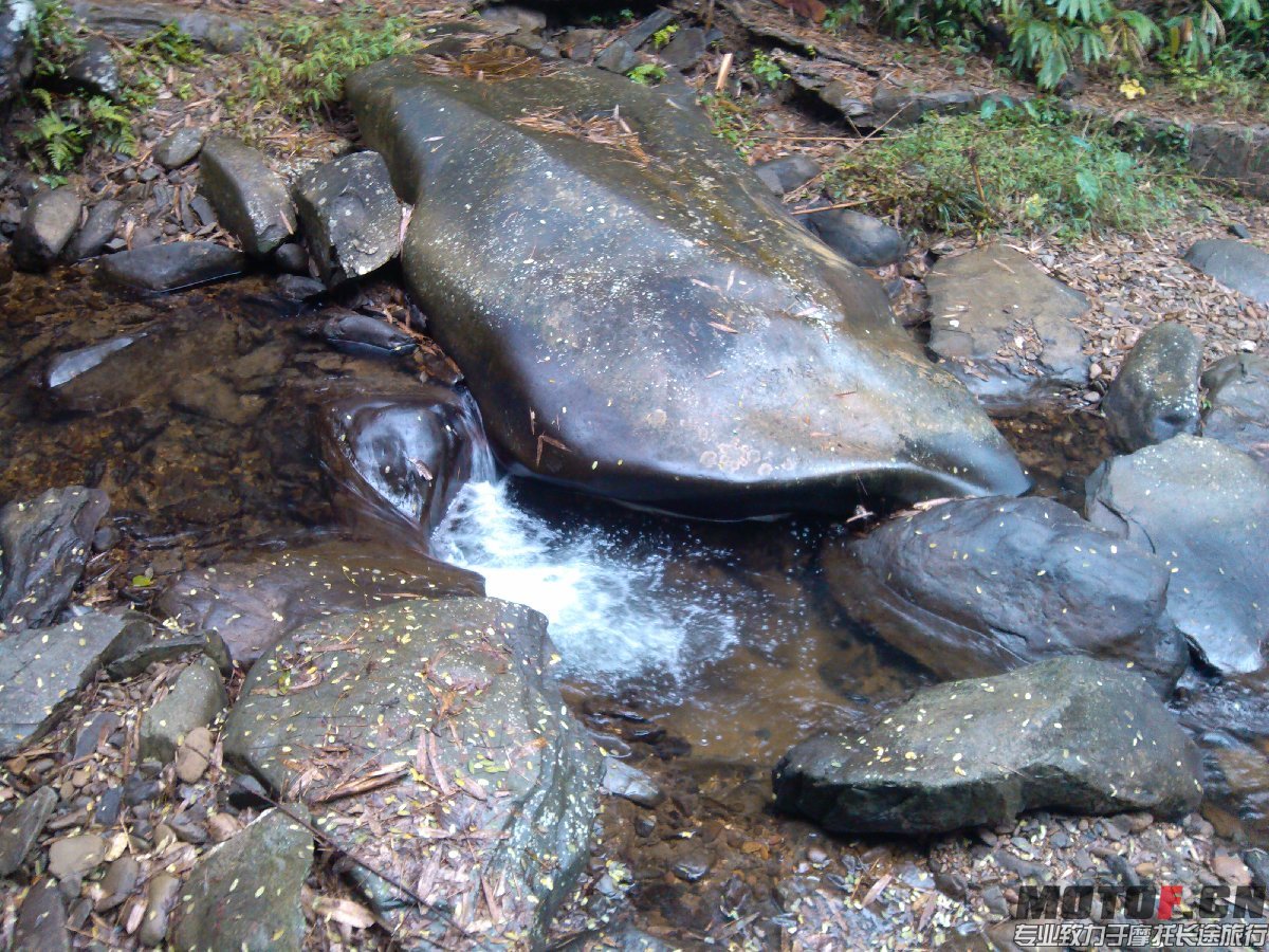 BigBull_IMG_20131213_095154.jpg