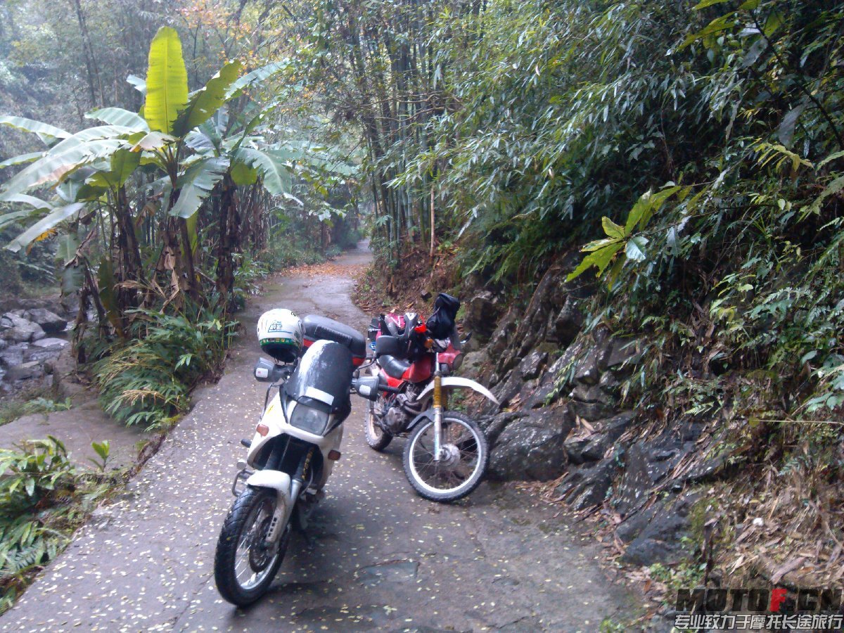 BigBull_IMG_20131213_095214.jpg