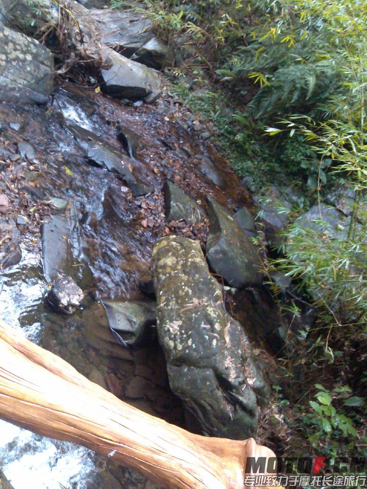 BigBull_IMG_20131213_100202.jpg