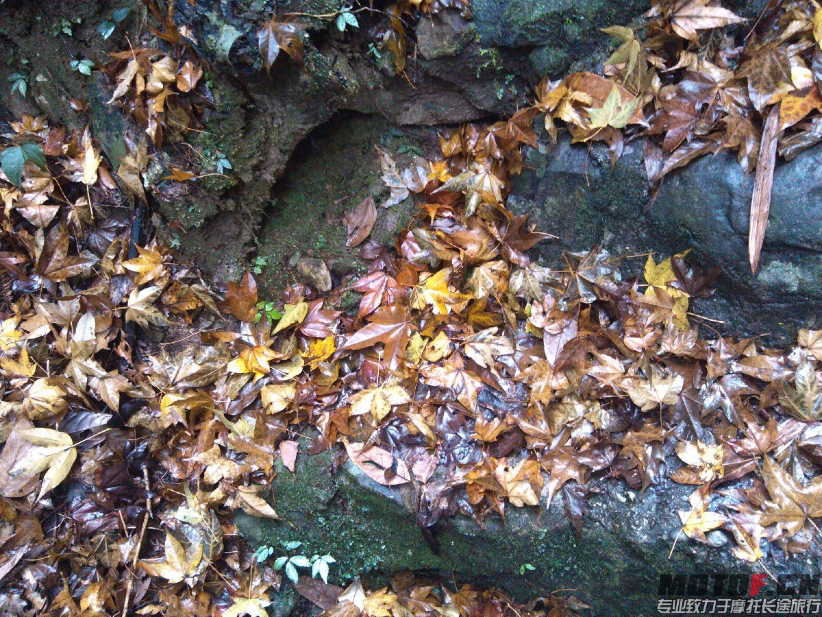 BigBull_IMG_20131213_100717.jpg