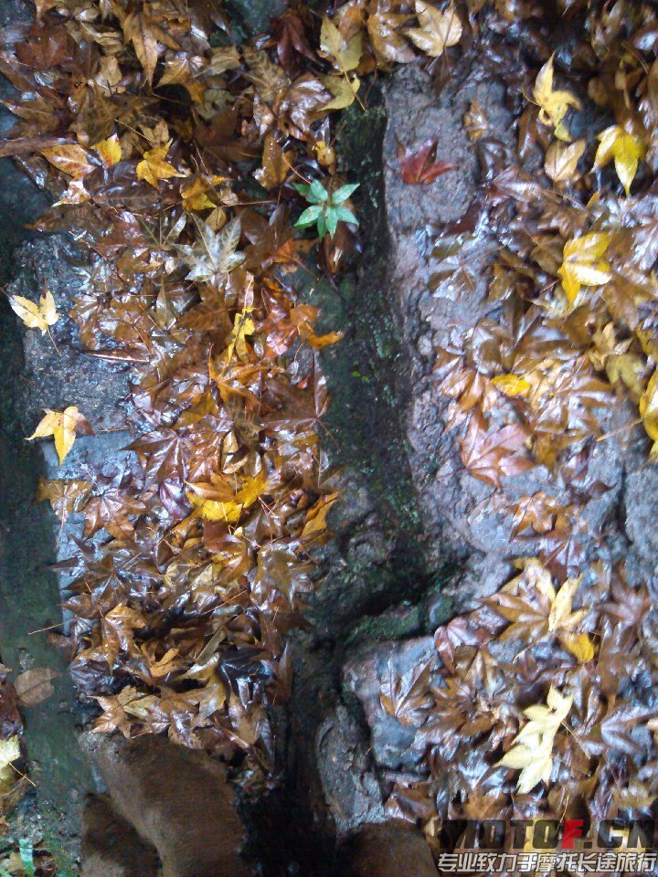 BigBull_IMG_20131213_100738.jpg