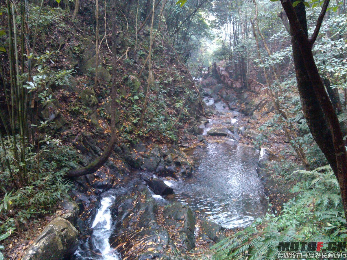 BigBull_IMG_20131213_100936.jpg