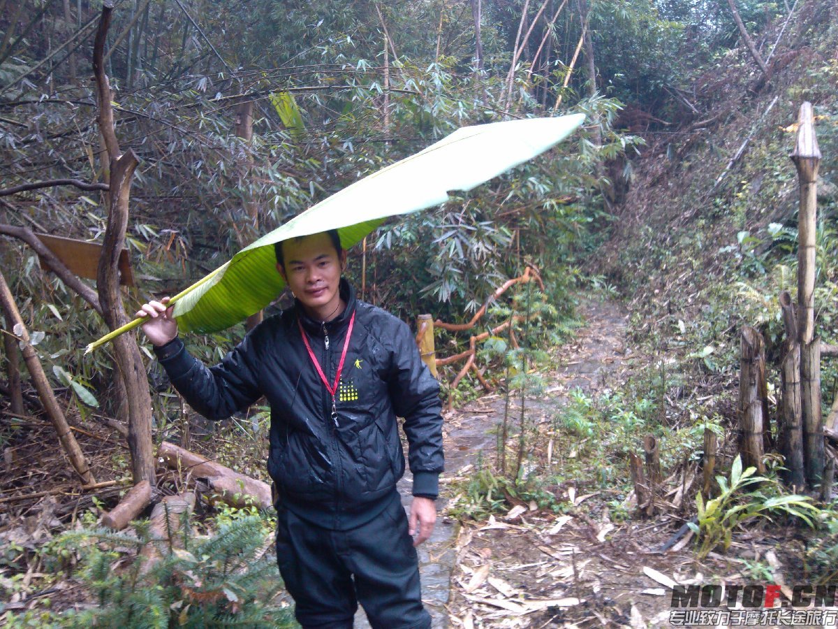 BigBull_IMG_20131213_101453.jpg