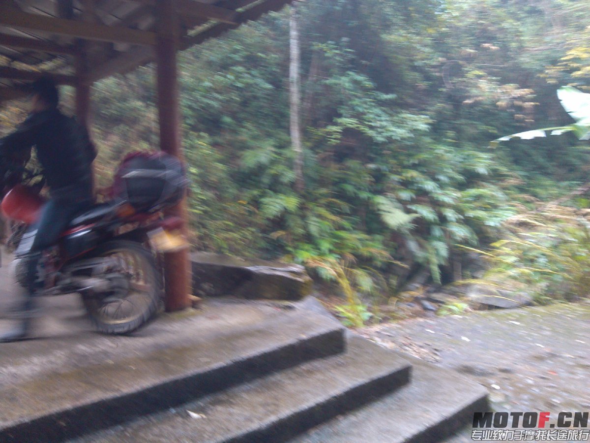 BigBull_IMG_20131213_104427.jpg