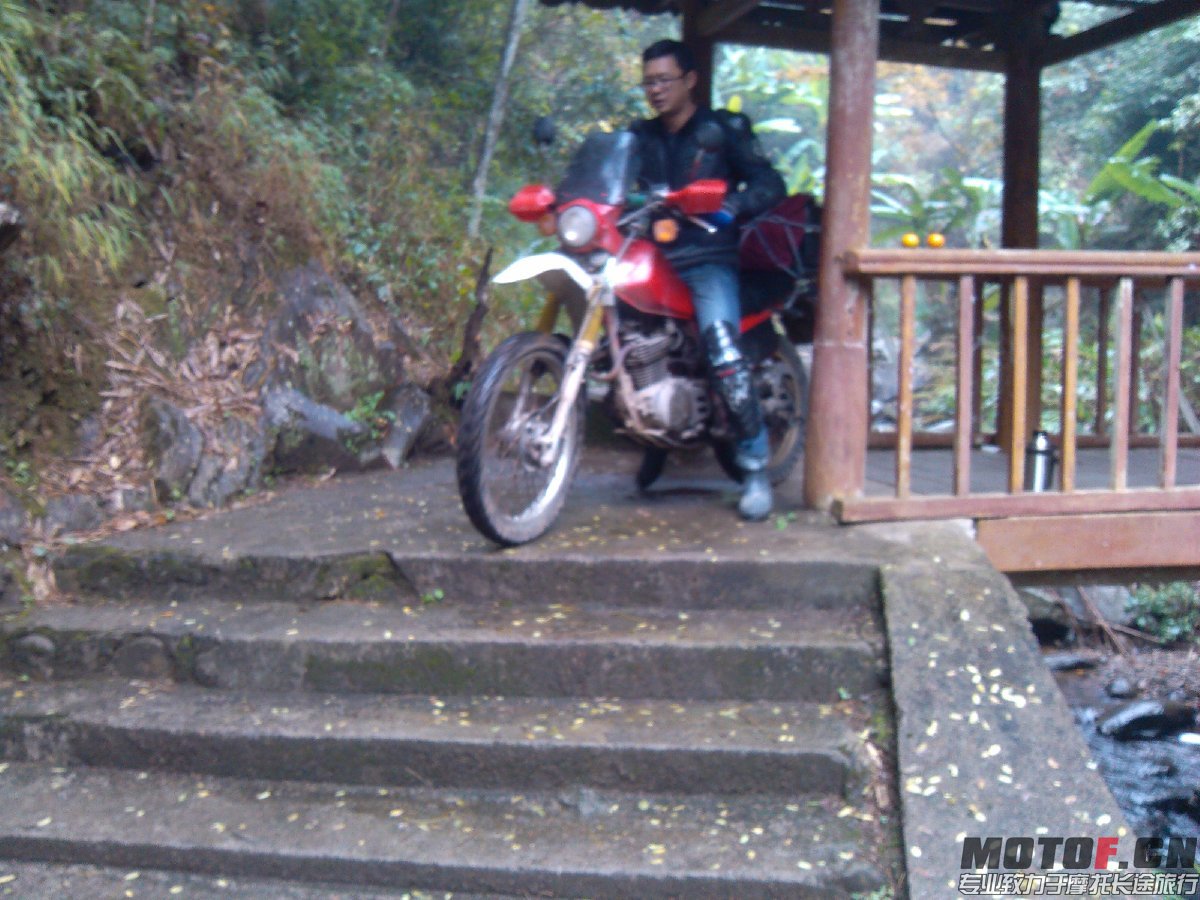 BigBull_IMG_20131213_104541.jpg