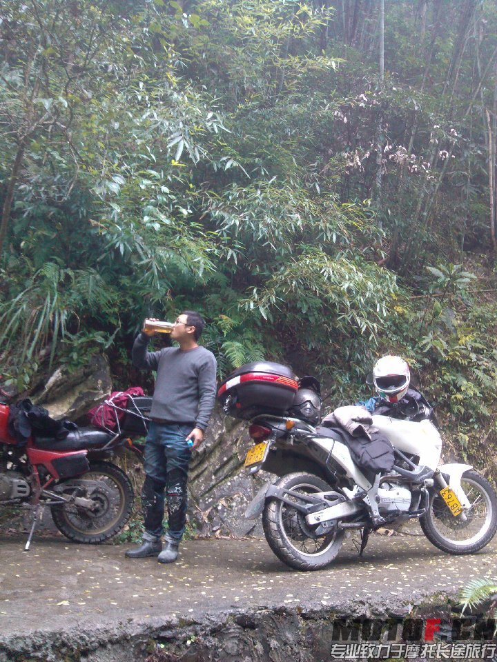 BigBull_IMG_20131213_104722.jpg