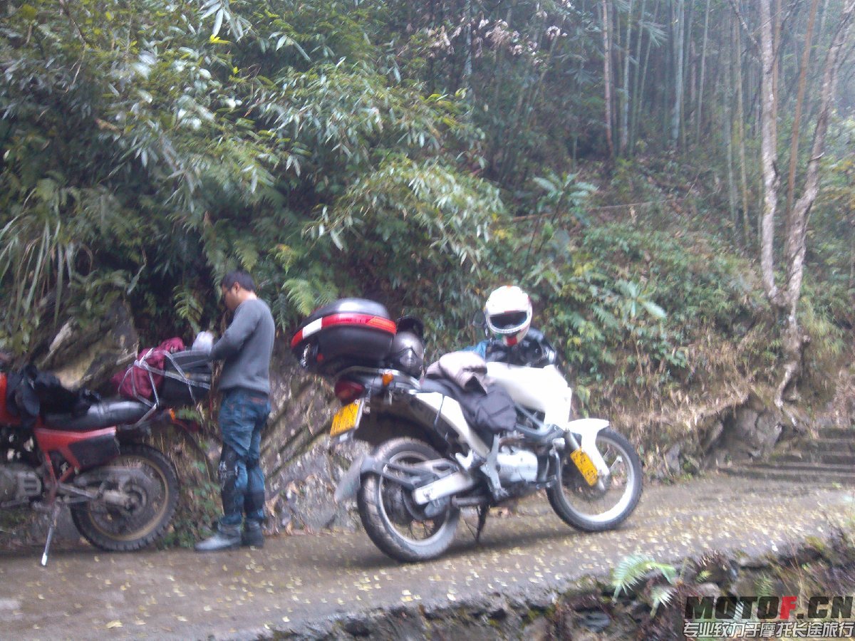 BigBull_IMG_20131213_104730.jpg