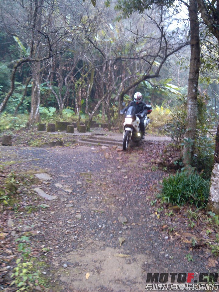 BigBull_IMG_20131213_110258.jpg