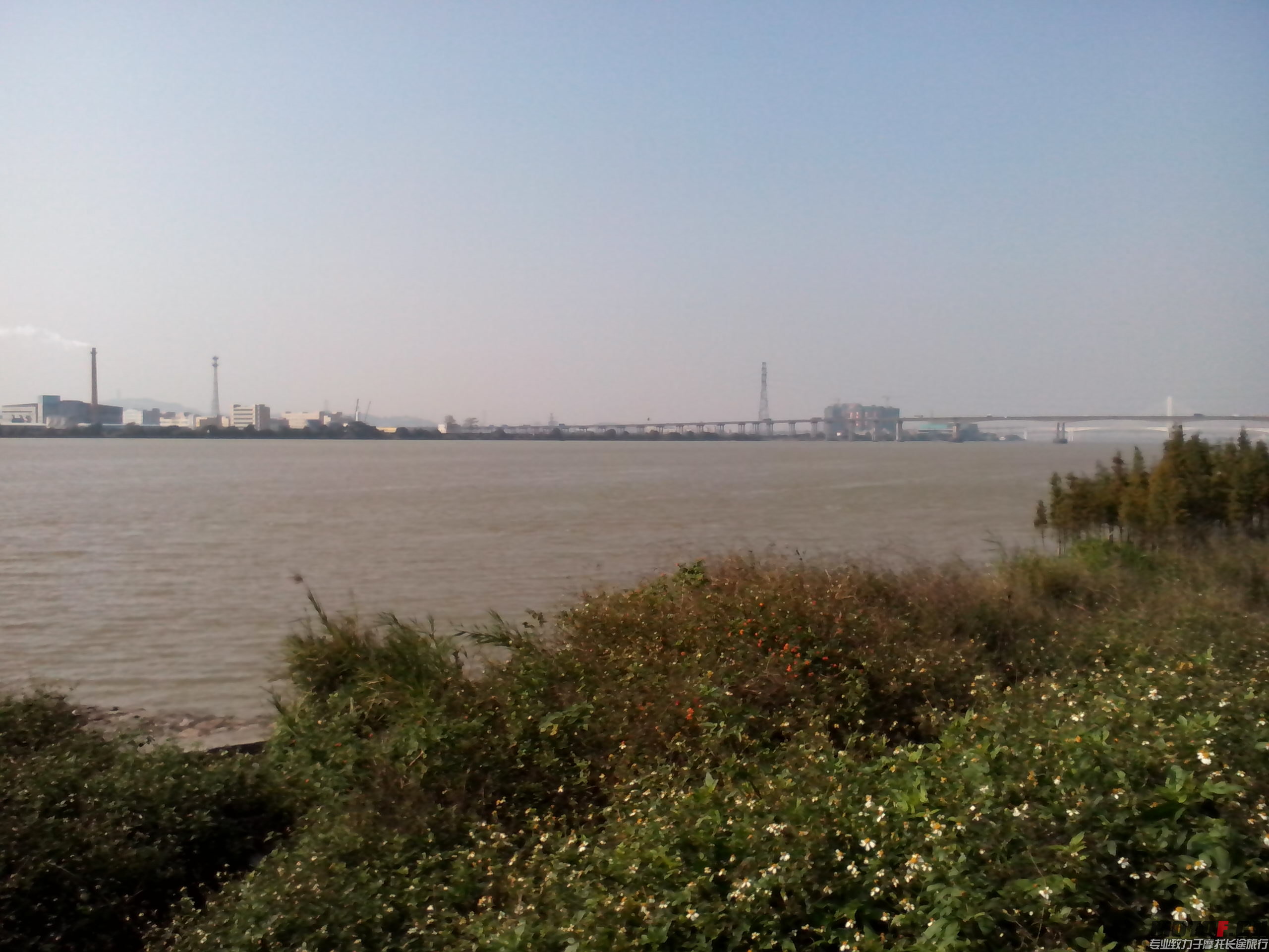 IMG_20131219_145437.jpg